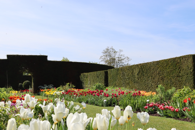 Glenarm Castle Walled Garden
